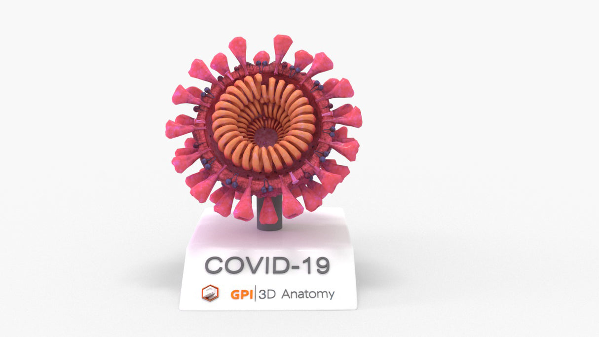 Half COVID-19 Virus (SARS-CoV-2)