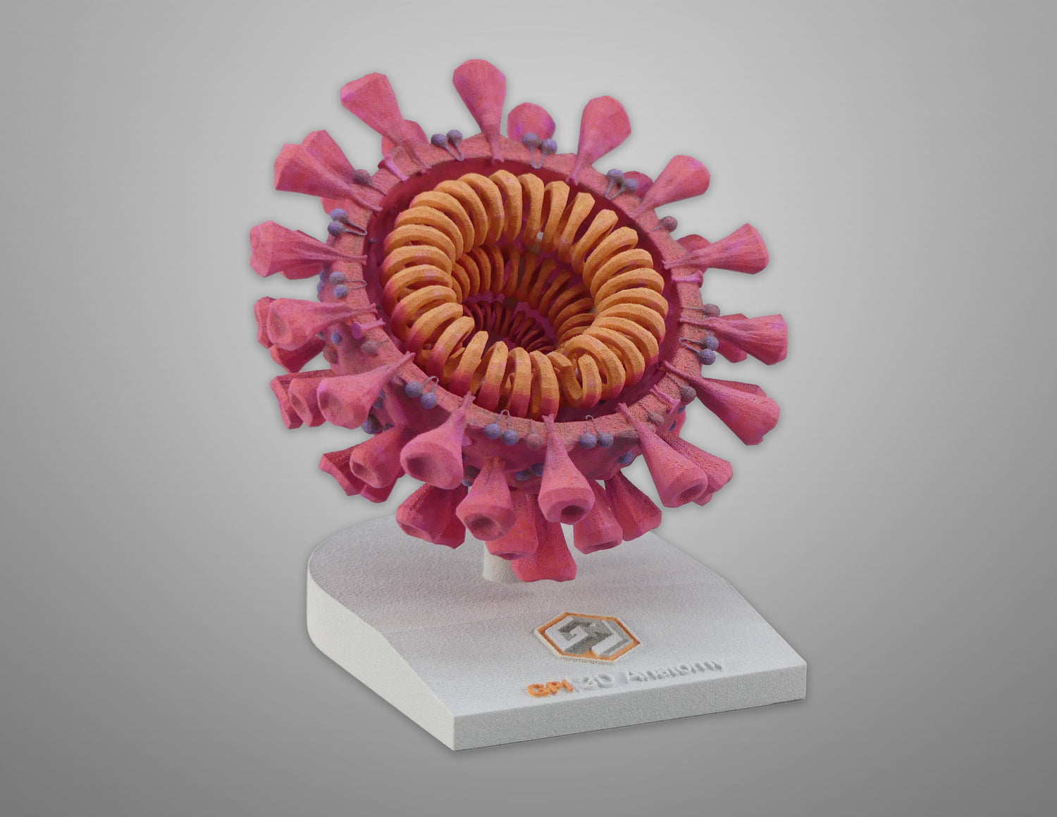 Custom 3D Anatomy Models | COVID-19 Virus | SARS-CoV-2 | Virology – GPI ...