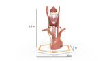 Recurrent Laryngeal Nerve Anatomy