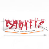 Aortic Arch Aneurysm Set