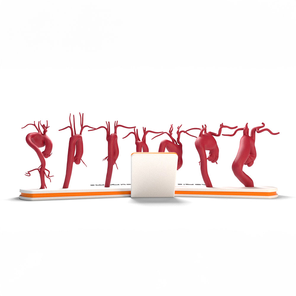 Aortic Arch Aneurysm Set