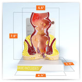 Rectum Model with Common Pathologies