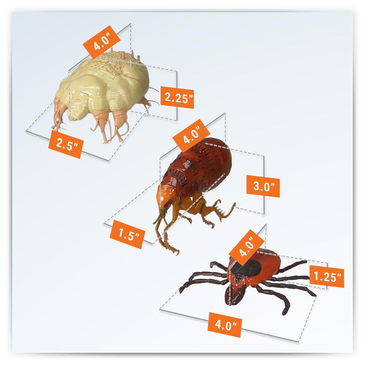 Canine Skin Parasites Model