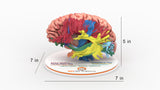 Brain Tracks