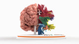 Brain Tracks