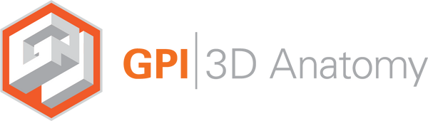 GPI 3D Anatomy