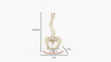 Scoliosis Type-1 Idiopathic 1