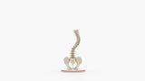 Scoliosis Type-1 Idiopathic 4
