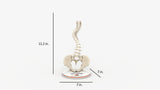 Scoliosis Type-2 Model 6