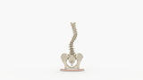 Scoliosis Type-2 Model 7