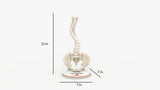 Scoliosis Type-2 Model 7